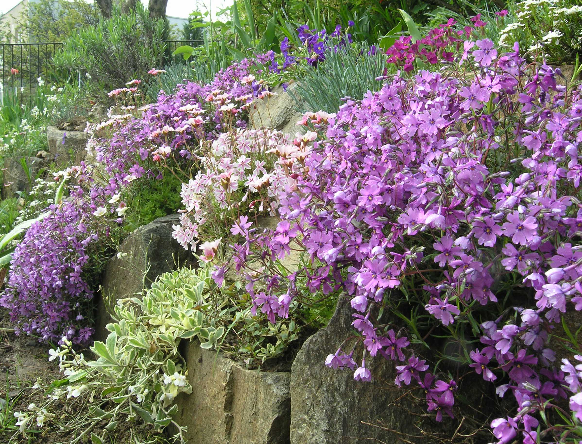 P5090370