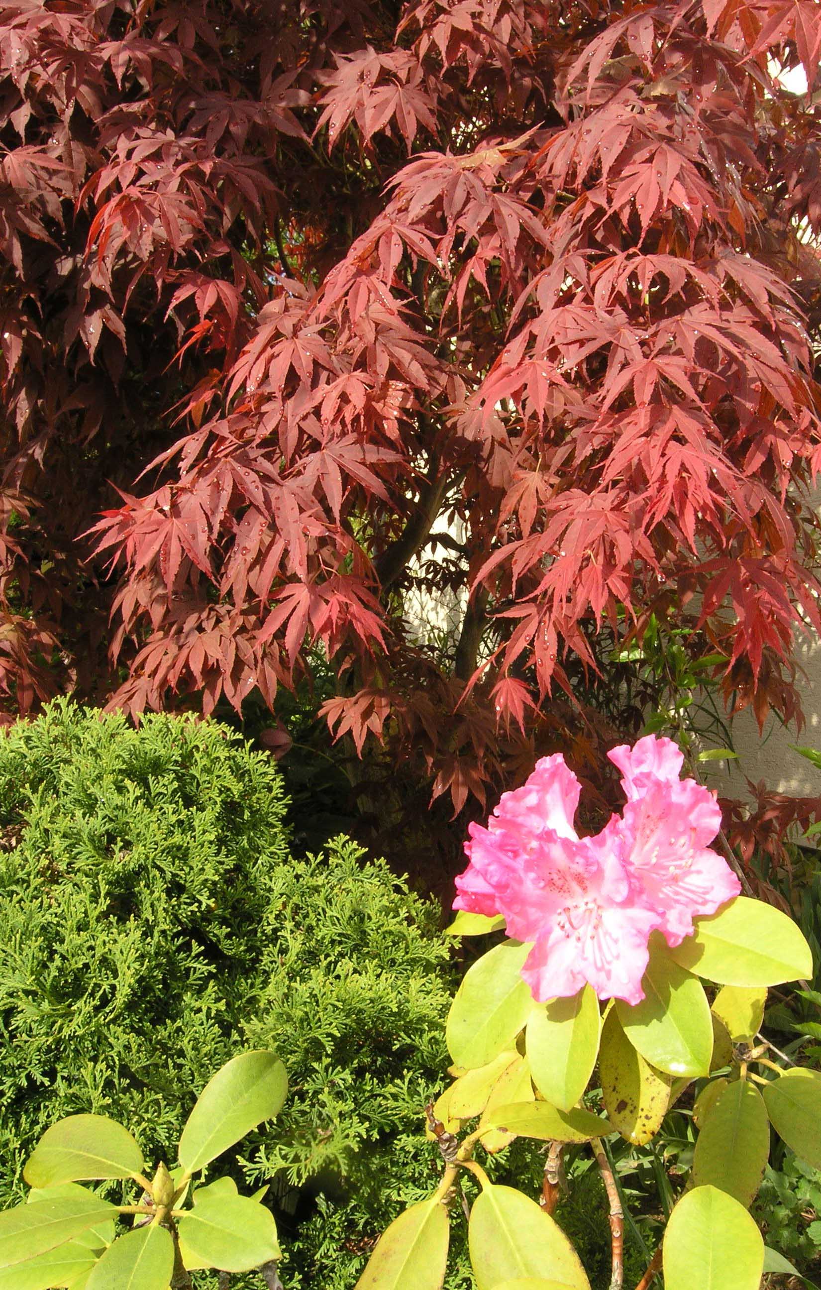 P5090379
