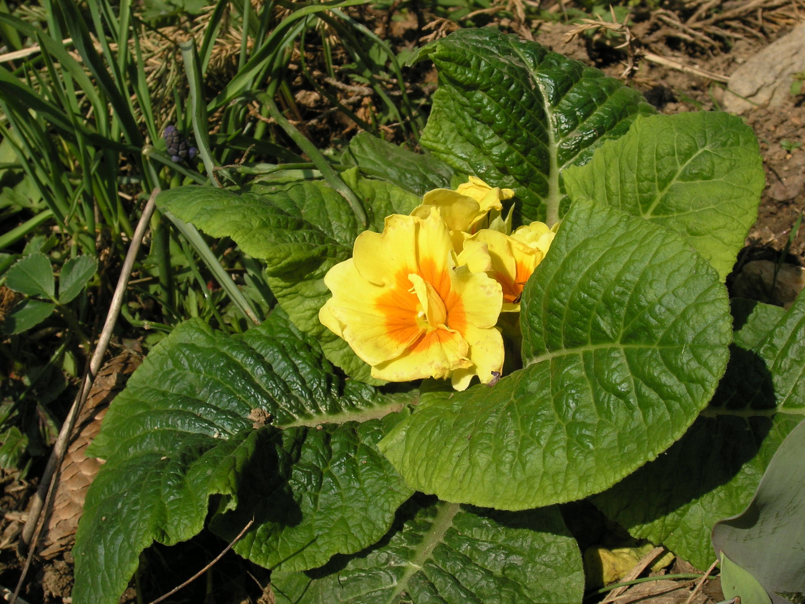 P4170189