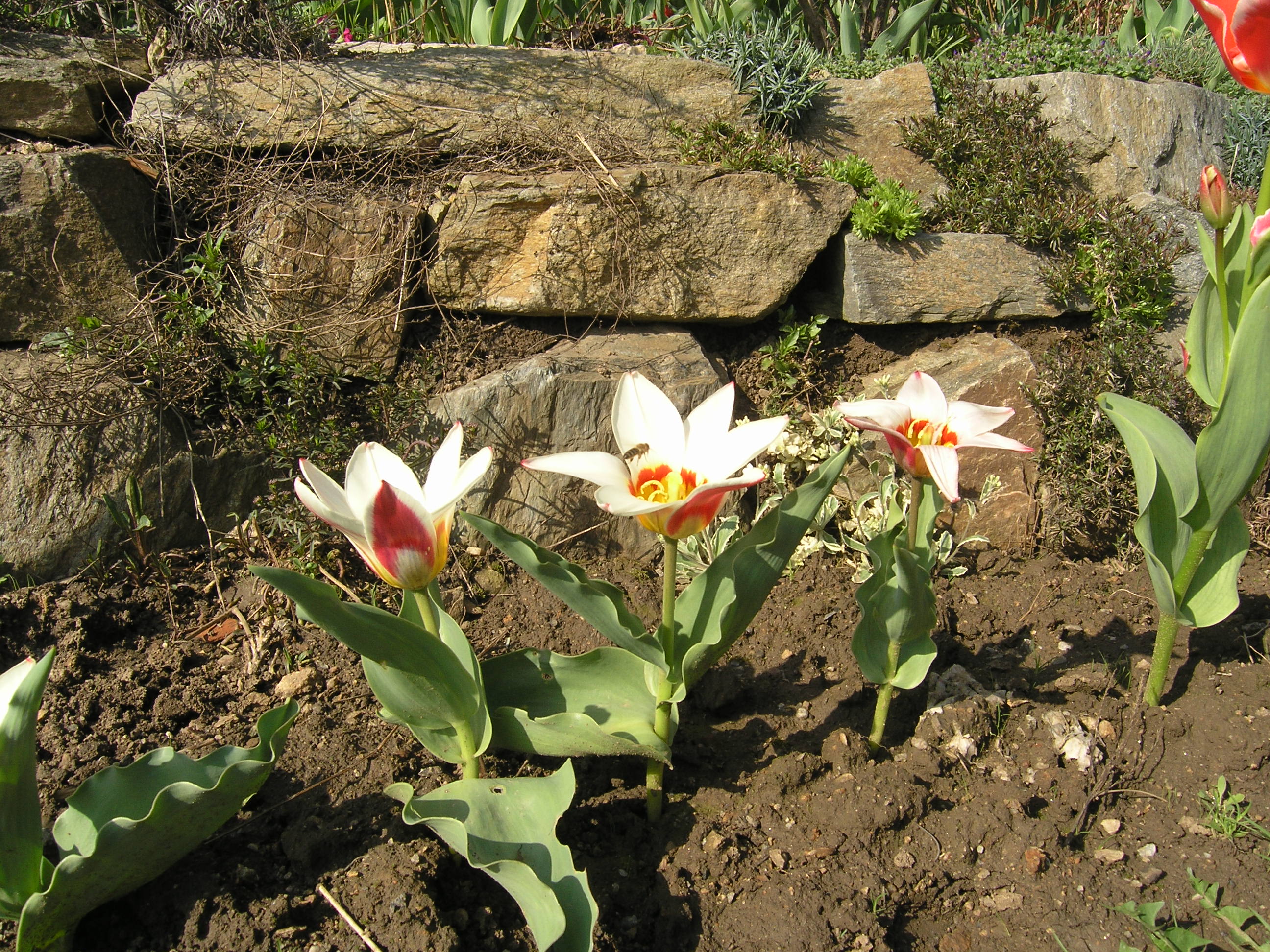 P4170200