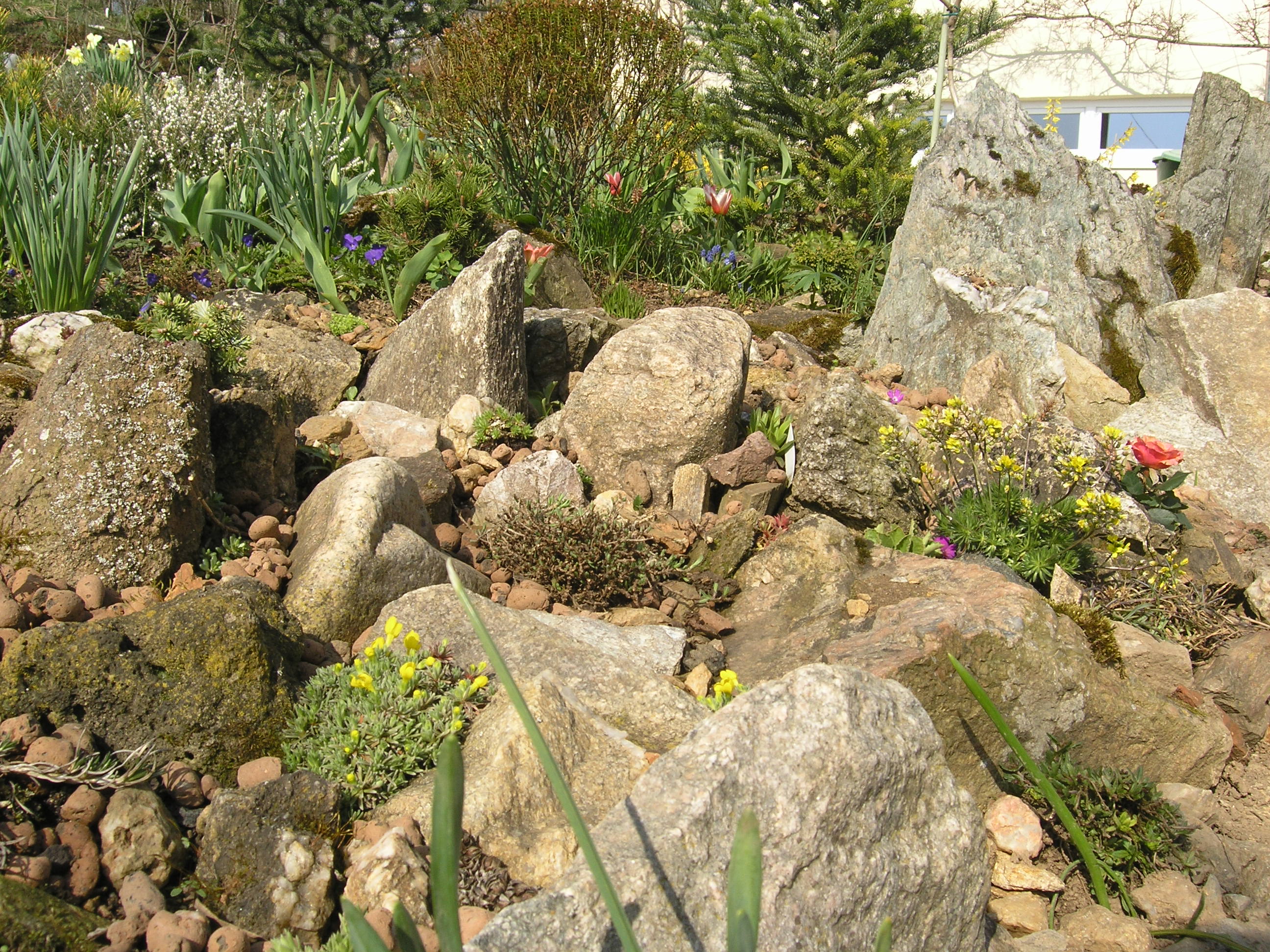 P4170224