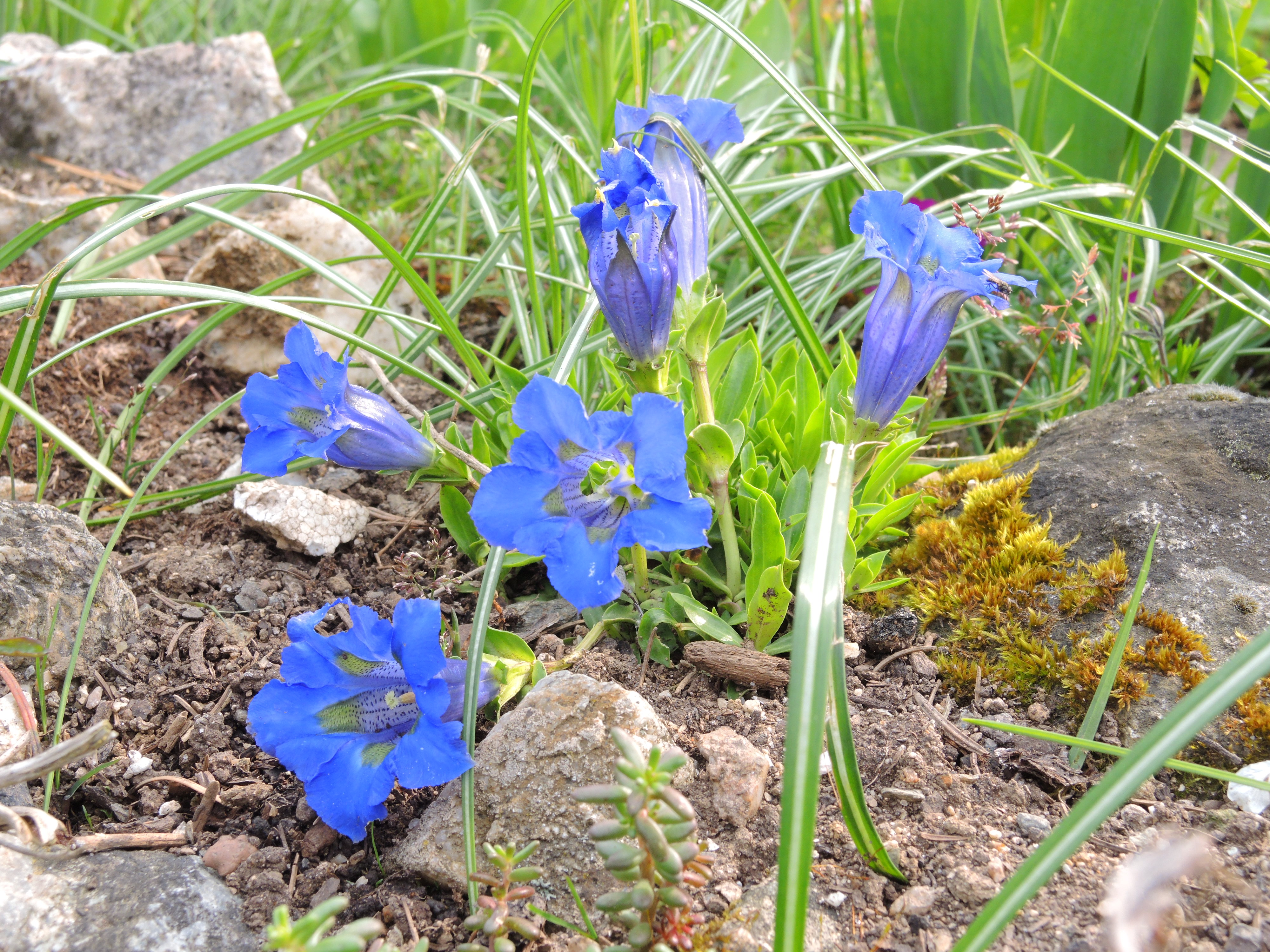 DSCN0276